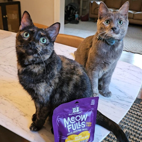 Stella & Chewys Meofulls Chicken & Chicken Liver Freeze Dried Cat Treats 1.5oz - Poudre Pet & Feed Supply 3
